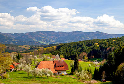 biederbach-bauernhof