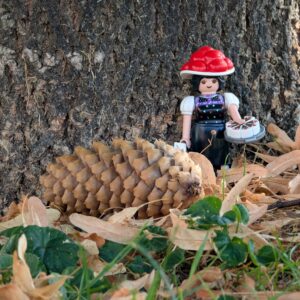 Playmobil Schwarzwaldmarie