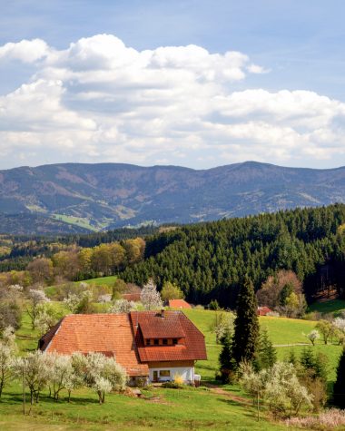 schwarzwald-bauernhof-biederbach